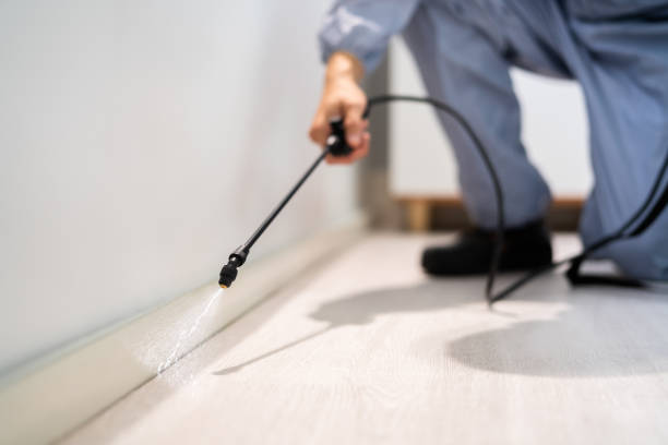 Certified termite inspector examining foundation in Brillion